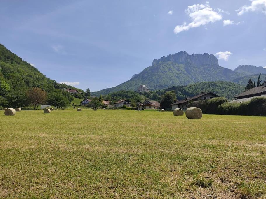 Bel Appartement Au Calme A 5 Minutes Du Village Menthon-Saint-Bernard Eksteriør bilde